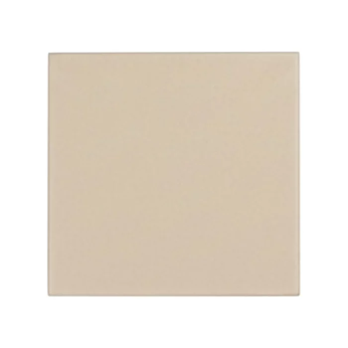 Desert Bloom - Image 1